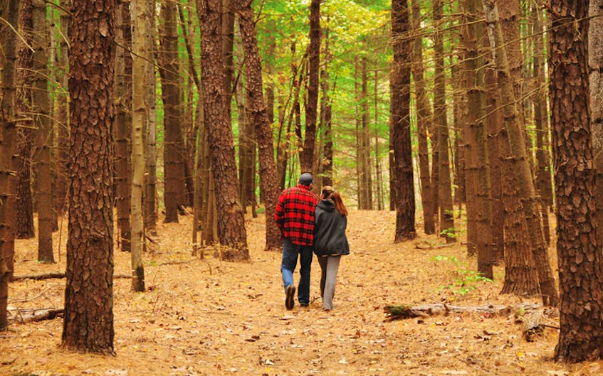 Hike Nova Scotia is encouraging Nova Scotians to get out and get active through their annual Fall Guided Hike Series.