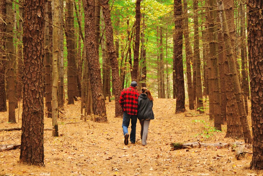 Hike Nova Scotia is encouraging Nova Scotians to get out and get active through their annual Fall Guided Hike Series.