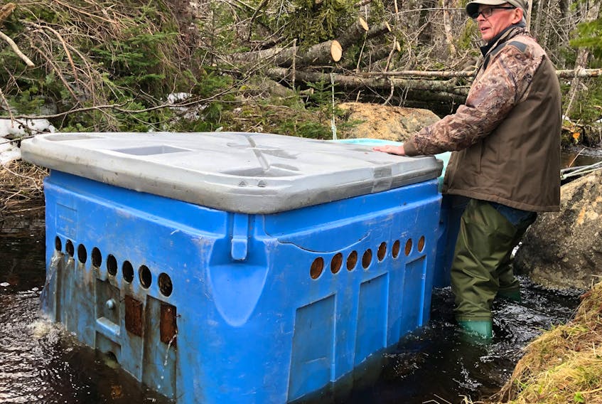 Carter Stevens of the Cape Breton Island Wildlife Association stands next to the incubation boxes for brook trout in Louisbourg on Wednesday. Jessica Smith • Cape Breton Post