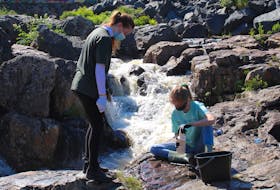 Katie Brocklehurst and Lesley Pilgrim travelled to Canyon River Trail in Manuels with the volunteer organization MUN Hope. Using water and environment friendly cleaner, the two helped each other scrub graffiti off the rocks. – Andrew Waterman/The Telegram