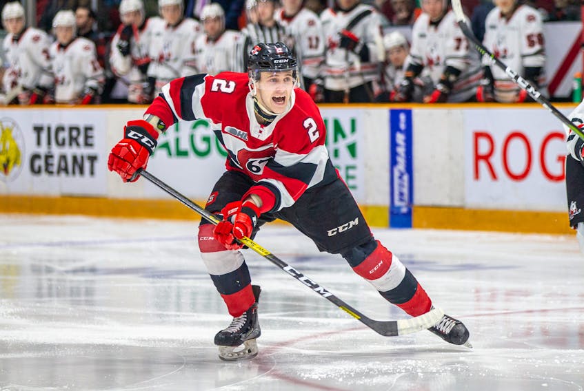 Ottawa 67's defenceman Noel Hoefenmayer calls for the puck from a teammate in an Ontario Hockey League game in January. Hoefenmayer is now a prospect with the Toronto Marlies. 