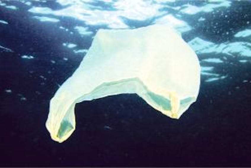 ['A plastic bag floats just under the surface of the ocean. A recent study says that biodegradable plastic is creating a huge problem in the ocean as it breaks down and is introduced into our food chain. —Thinstock image']