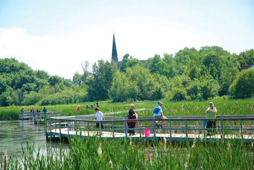 The Sackville Waterfowl Park is just one of many tourist attractions in the town and surrounding communities.