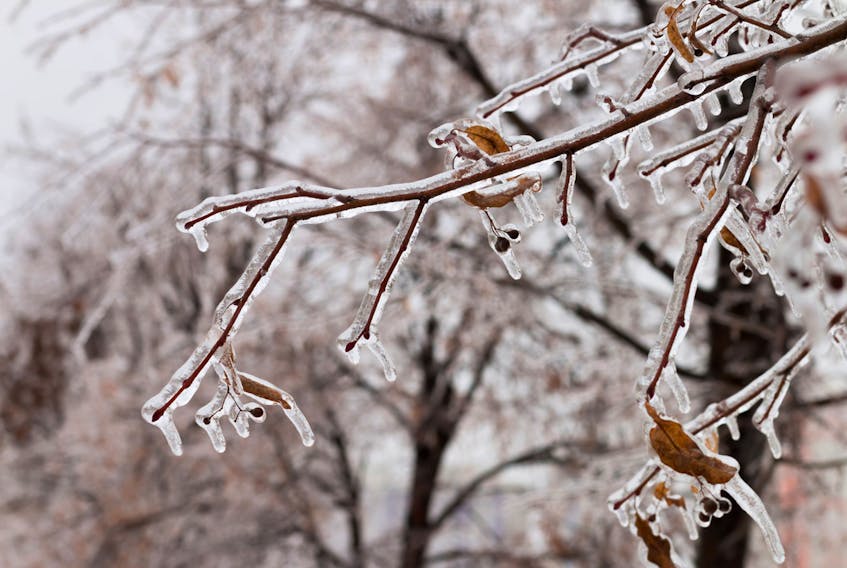 Environment Canada is calling for a period of rain and freezing rain for P.E.I. beginning overnight Monday into Tuesday. 123RF/SUBMITTED PHOTO