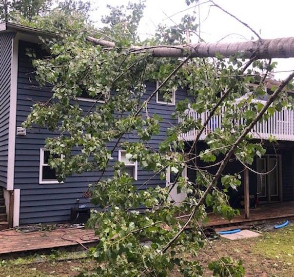 The blustery winds post-tropical storm Dorian brought to Kings County toppled a tree down onto the roof of Lisa Hunt’s home in Coldbrook.
CONTRIBUTED