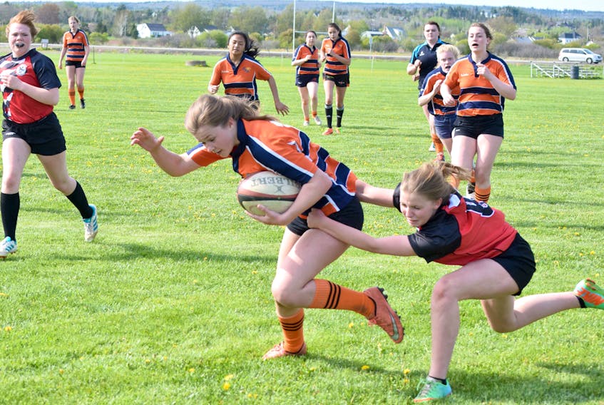 High school rugby in the province has been cut by the NSSAF.