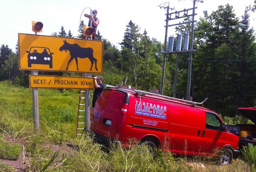 Travis Smart and David Jury of Tantramar Electric install flashing lights on the moose crossing sign in the Melrose area in August 2012. At the time, increased efforts were underway to reduce the number of moose-vehicle collisions in the area after three people – including a Cape Tormentine couple and a man from Charlottetown, P.E.I. – were killed.