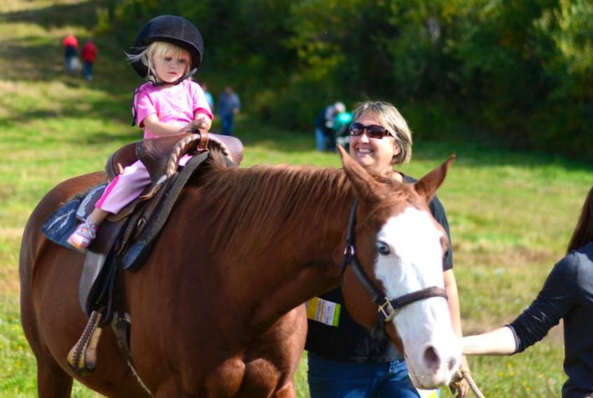 Two-year-old Presley Kelly took a ride on a horse at the Festival of Fall Colours on Saturday. Presley lives in Amherst.