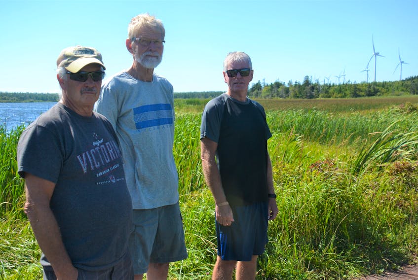 Dave Fletcher, Don Humphrey and Donald Bergeron stand in front of wetland that is on the site of a proposed expansion of a wind farm near East Point. The three members of the Eastern Kings Community Association are opposed to the expansion. Approval of the project was announced this week.