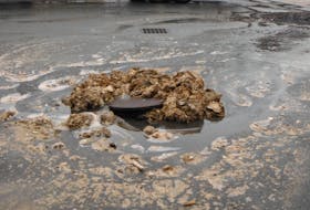 Municipal sewage systems can become clogged with so-called flushable wipes, as in this image from Halifax Regional Municipality. Halifax Water is asking people not to flush them into the system. Photo by Halifax Water