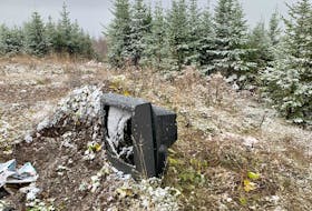 Kimberly Barrett discovered a television set on an embankment during a weekend trip to her cottage. After taking a closer look, she found more waste dumped illegally an the area outside of Howley. CONTRIBUTED