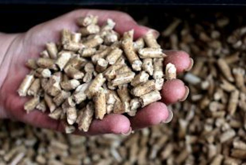 ['<p>Wood pellets are in high demand right now as businesses that carry the item are running out of stock.</p>']