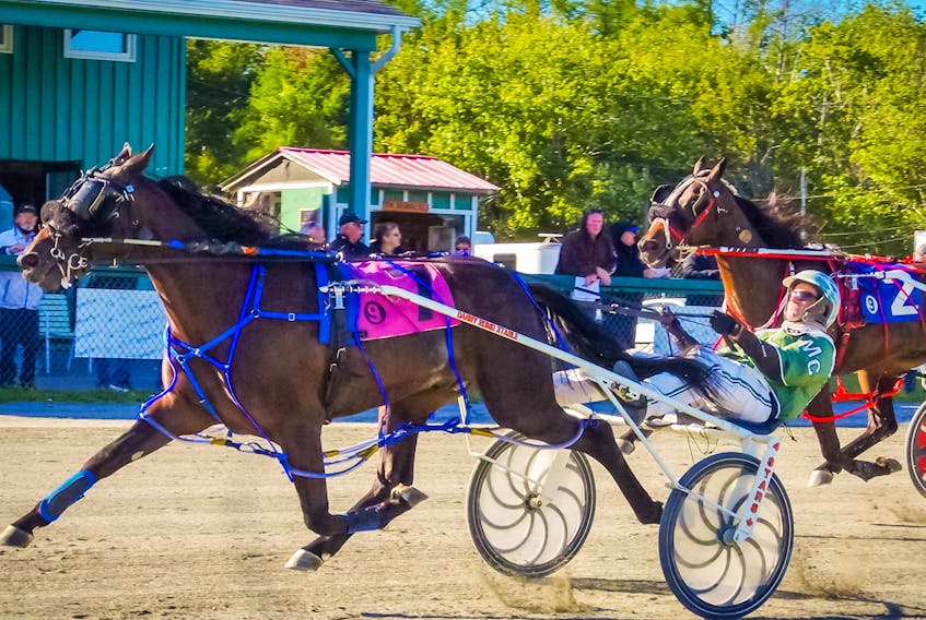 Woodmere Stealdeal and driver Marc Campbell are shown winning the Nova Scotia Stake for two-year-old pacing colts at Northside Downs in North Sydney on Saturday. Bettim Again, right, finished in second place. PHOTO SUBMITTED/TANYA ROMEO
