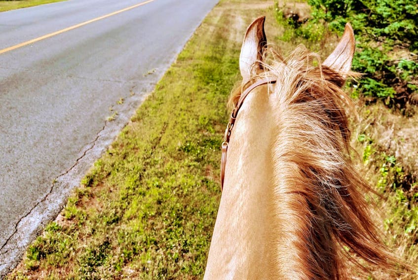 This is Donna Lee’s view as she rides her horse, Bohannon, on the side of a P.E.I. road.