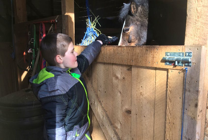 Nine-year-old Kaleb Schoefer is seen in the family's barn with Star, one of three ponies owned by the Schoefers.