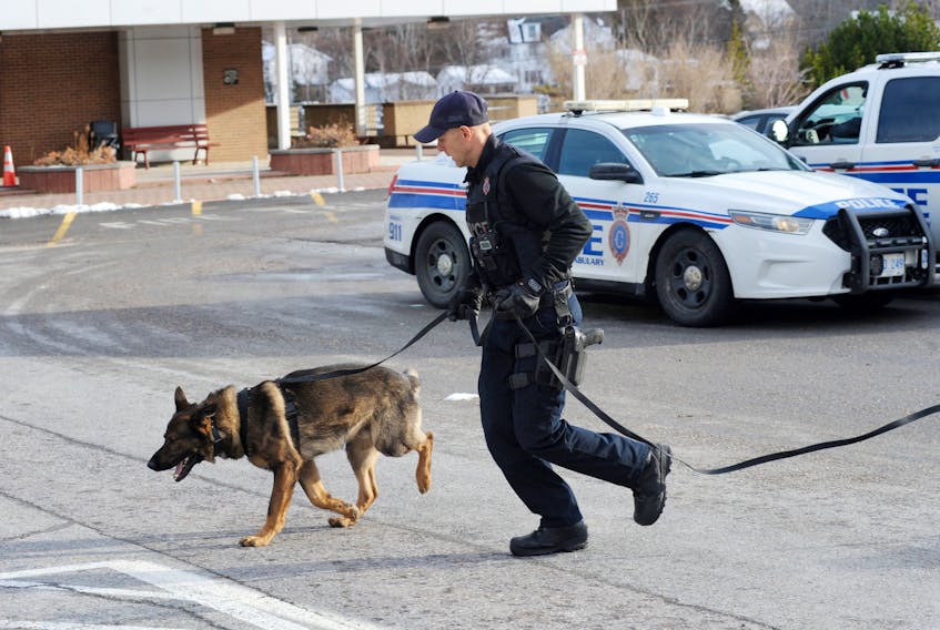 Const. Scott Mosher and Royal Newfoundland Constabulary police dog Garvey spring into action as they enter the courthouse in Corner Brook to help search for signs of an alleged threat made against the building Friday morning.