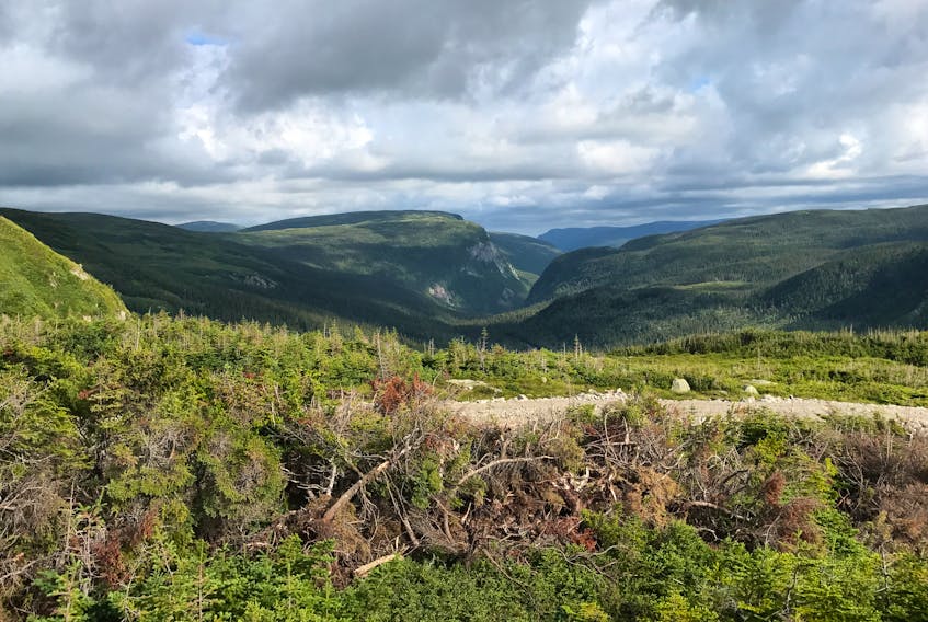 This view of the Portland Creek Gorge is one of the many offered from the new road that courses along the new transmission line on the Northern Peninsula.