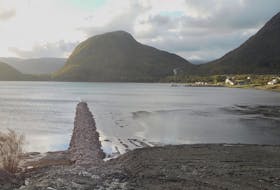 This image shows the rock berm covering a new and controversial sewer outfall in the town of Lark Harbour in the outer Bay of Islands.