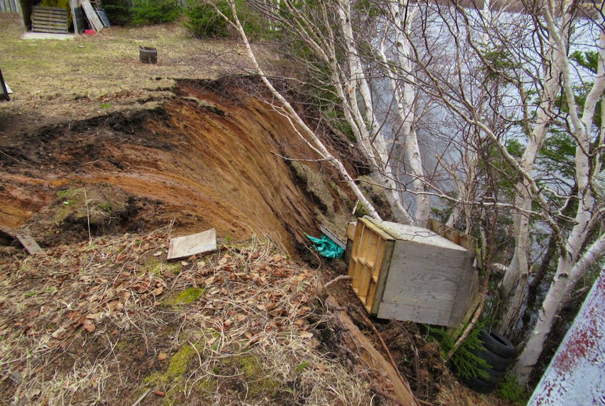 The eroding banks of the Humber River in Deer Lake continue to take a toll. This shed belonging to Glen Moss of Pine Tree Drive had been on the edge of the bank when darkness fell Wednesday night, but had toppled down toward the river by daybreak.