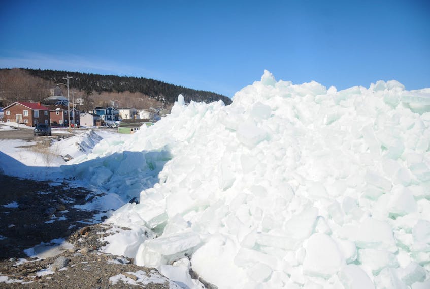 As western Newfoundland continues to deal with some of the heaviest sea ice in years, there are some places where the ice is compacted so tightly to the shoreline that it has begun to pile up. This so-called ice wall has formed in front of the Barry Group Inc.’s storage building on Griffin Drive. As of Tuesday afternoon, the wall was towering around 12 feet above the parking lot, which itself is around 10 or 12 feet above the water.