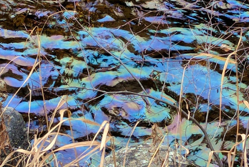 The sheen of oil is seen in the Corner Brook Stream. The oil came from a spill at Corner Brook Pulp and Paper’s Watson’s Brook generating station on Monday.