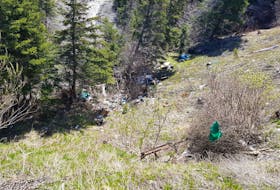 It may be the annual spring cleanup period in Humber Arm South from May 22-24, but the town is disgusted to see this mess of on the hill leading down to Cammie's Brook. The town is investigating, but is asking for anyone with any information about who might be responsible to call the town office at either 789-2981 or 789-3203 and promises all tips will be kept anonymous.