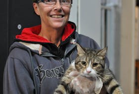 NL West SPCA volunteer Sandra Ryan holds on to Nigel, one of the cats at the Corner Brook shelter which has come down with an upper respiratory infection. The shelter has had to stop taking in cats because of the infection.
