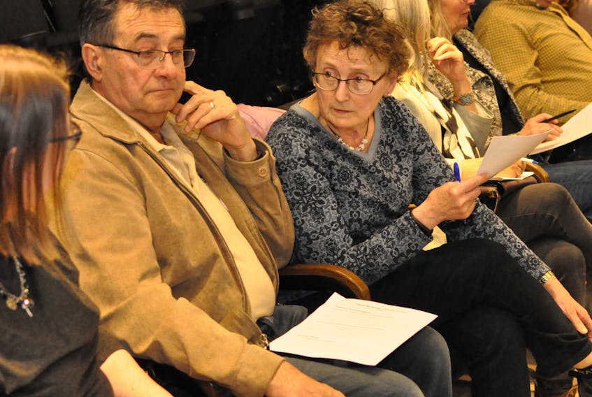 Roy and Janis Evans, owners of The Roost in York Harbour, were among a group of 25 people who attended a consultation session on the development of the province's new cultural plan at the Rotary Arts Centre in Corner Brook on Thursday night.