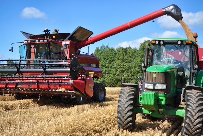 Fisheries and Land Resources Minister Gerry Byrne hopped onboard a combine to participate first-hand in the harvesting of winter wheat at farmland rented by Hammond Farm in Pasadena on Monday.