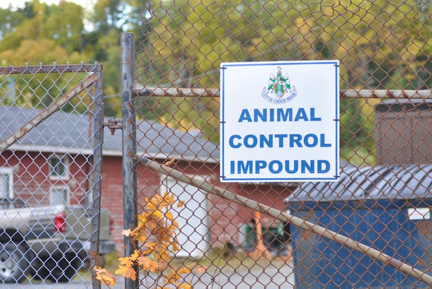 The City of Corner Brook has been making changes to its animal control division.
