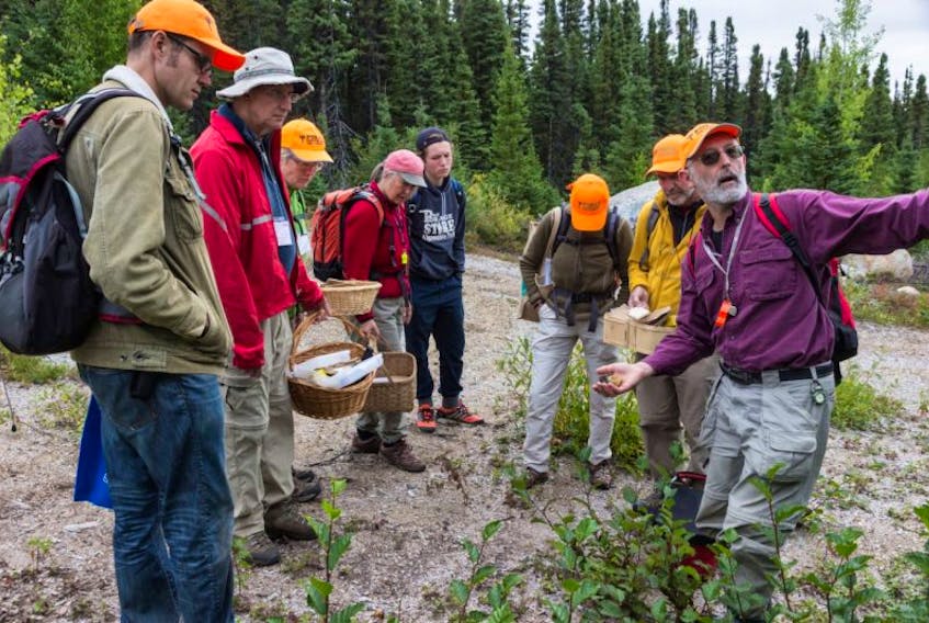 Dr. Greg Thorn of Western University, talks about fungi on a collection trip during the 2016 Mushroom and Lichen Foray in Happy-Valley Goose Bay. This year’s foray takes place on Grenfell Campus in Corner Brook.