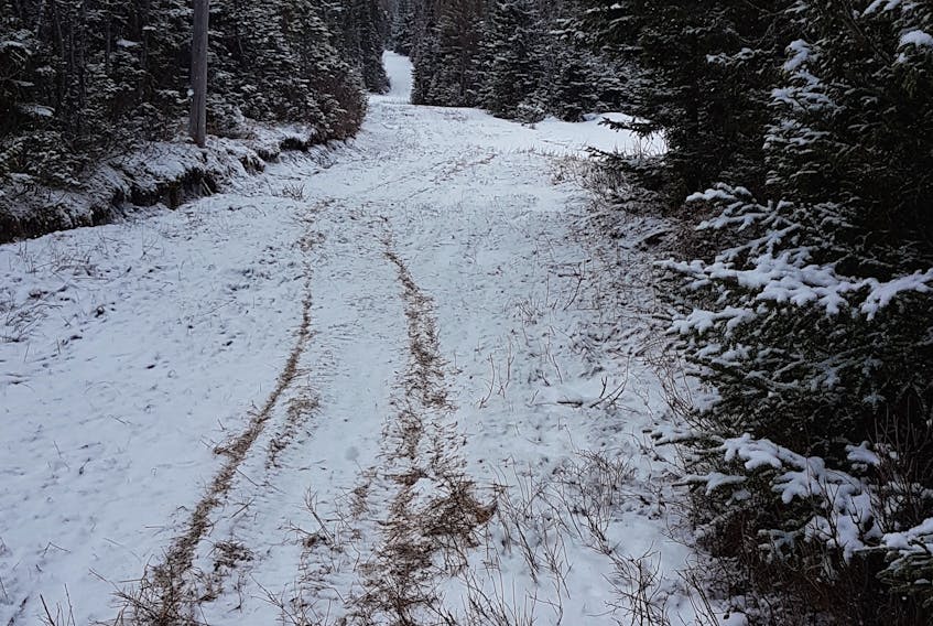 The trails at the Blow Me Down Trails are not in the best of shape after last weekend’s weather.