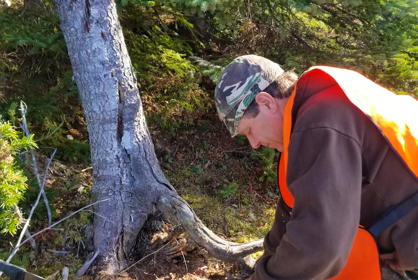 Kirk Moore of Deer Lake, seen here setting up a bait can and a reflective plate, claims to have seen a big cat in the woods of Newfoundland and is taking part in the project to try and capture images of one.