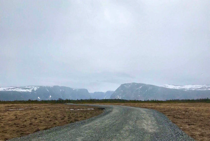 Steven Hynes photo
Western Brook Pond Trail is shown in its current state.