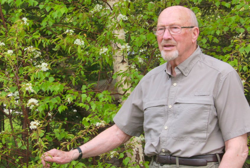 Deer Lake's Cyril Goodyear is an avid outdoorsman and has written a book about surviving in the deep woods.