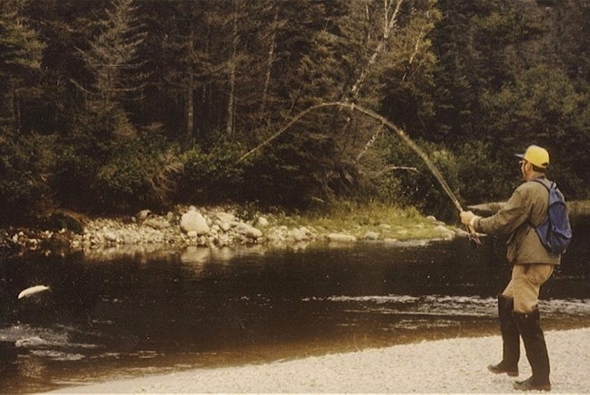 Fred Carter Sr. is seen playing a salmon on Barachois Brook in this photo dating back to circa late 1970’s.