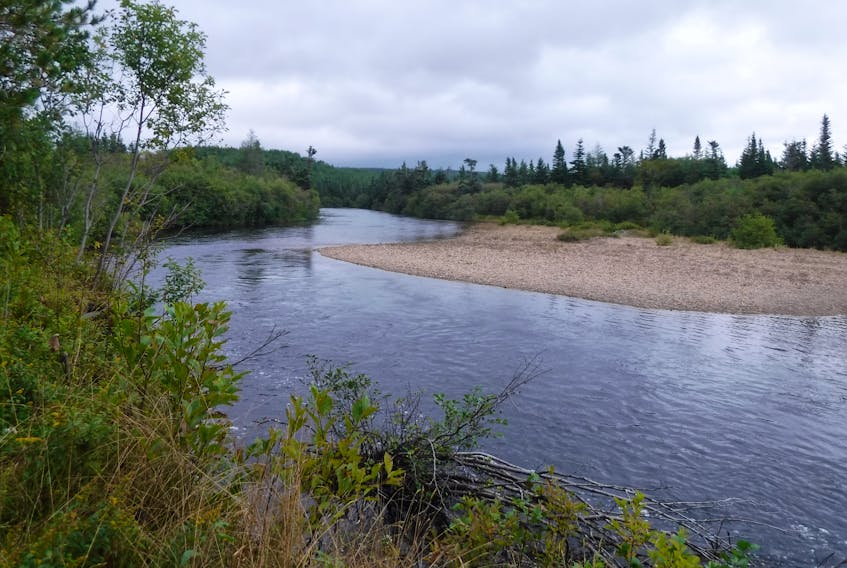 This is a section of Barachois Brook located in a 195-acre area the Nature Conservancy of Canada is looking to protect with support from the public.
