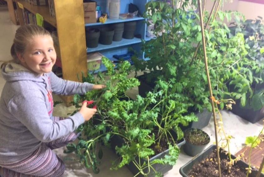 Alexis Penney is pictured working in the class garden at Pasadena Elementary.