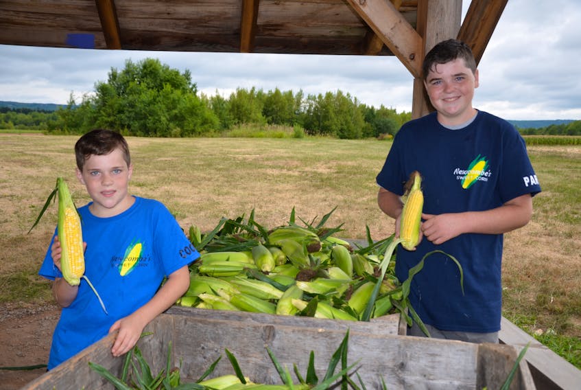 11-year-old Cooper and 14-year-old Parker Smiley of Canning have made a big impression on the owners of Newcombe’s Sweet Corn through their work and devotion to farming. KIRK STARRATT
