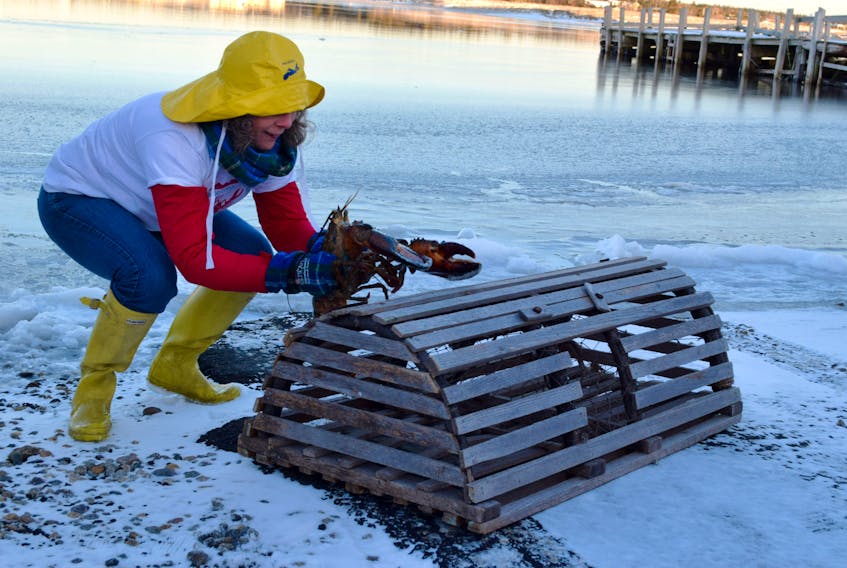 Donna Hatt, chairwoman of the South Shore Tourism Cooperative, helps Lucy the Lobster claw her way up to her weather predicting perch on the North East Point waterfront on Groundhog Day during the 2019 Nova Scotia Lobster Crawl. The fun event is just of more than 100 being planned for the 2020 Lobster Crawl.
