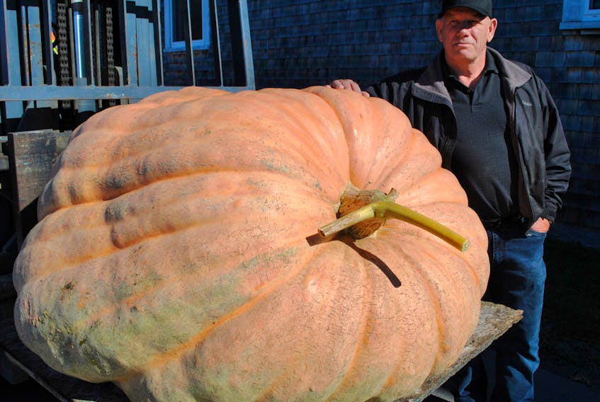 Stephen Atkinson poses with his prize-winning pumpkin at last year’s Giant Pumpkin Festival in Shelburne. The pumpkin weighed 926 pounds.