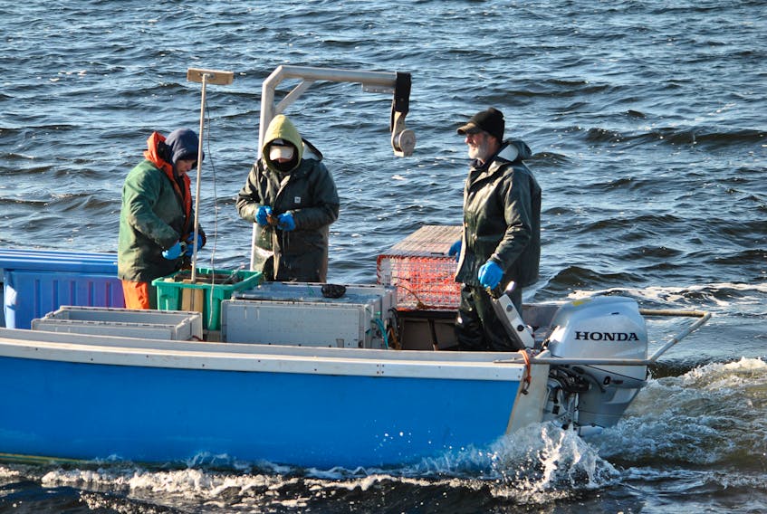 Lobsters are measured and banded by Whitney Smith, left, and Chrissie Smith, while boat captain Donnie Smith steams to where he wants to dump the trap while lobster fishing alongside the Cape Sable Island Causeway on Dec. 1. KATHY JOHNSON PHOTO