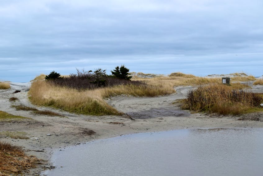 Implementation of a four-year beaches strategy in the Municipality of Barrington will begin with the development of a 165’ x 165’ parking area at the Stoney Island Beach on Cape Sable Island. Work is expected to begin soon.