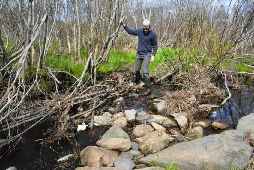 Stephen Sollows crosses an area of Broad Brook where rocks have been placed in the brook to create a path across.