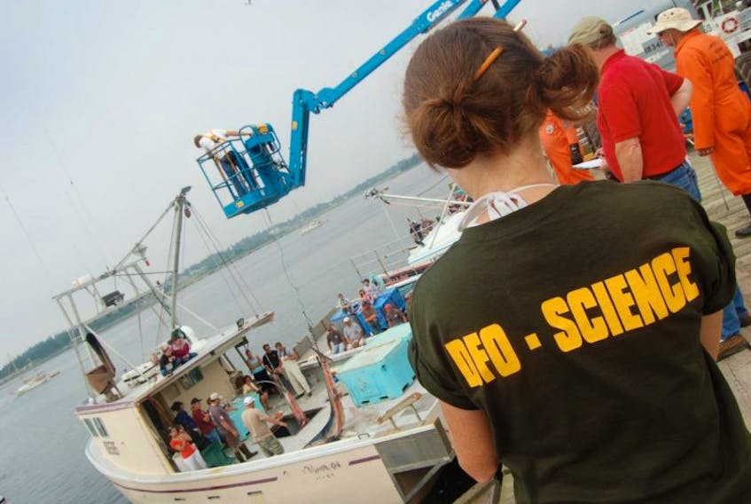 Scientists from the Bedford Institute of Oceanography will be gathering data at the Aug. 12-13 Yarmouth Shark Scramble as they have at past events for more than a decade.