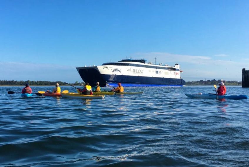 The Cat ferry gets a send off from kayakers on May 31 as it started its second season.
